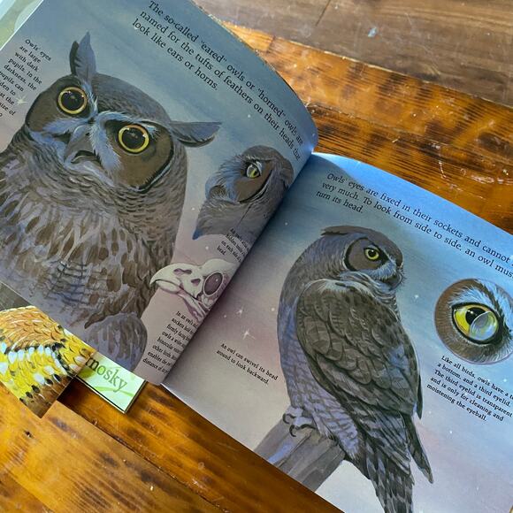 Vintage 90s Scholastic Bundle of 3 All About ... Paperback Books - Picture 10 of 12